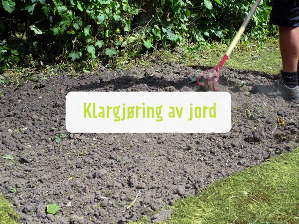 Jord klargjøres med en kultivator