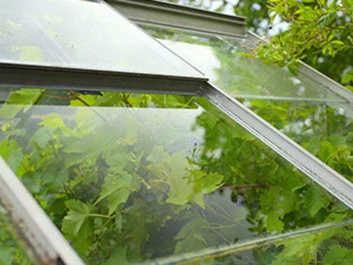 Skift glassrute i drivhuset