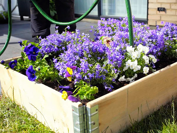 Ferdigplantet høybed med lilla blomster