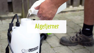 Behandling Tregjerder Trinn1 Mobil 2023