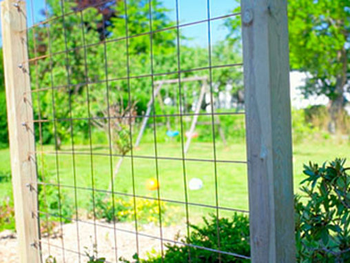 Lag et espalier med armeringsnett