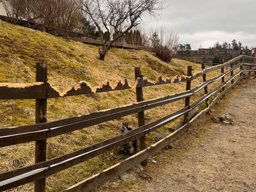 Luftegård til rideskolehestene